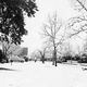 Illustration for article titled L.A. Weather Isnt Always Perfect: Snow Hurricanes in the Southland
